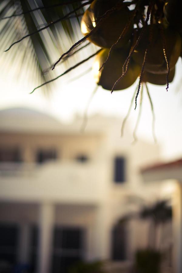 Villas Flamingo อากุมัล ภายนอก รูปภาพ